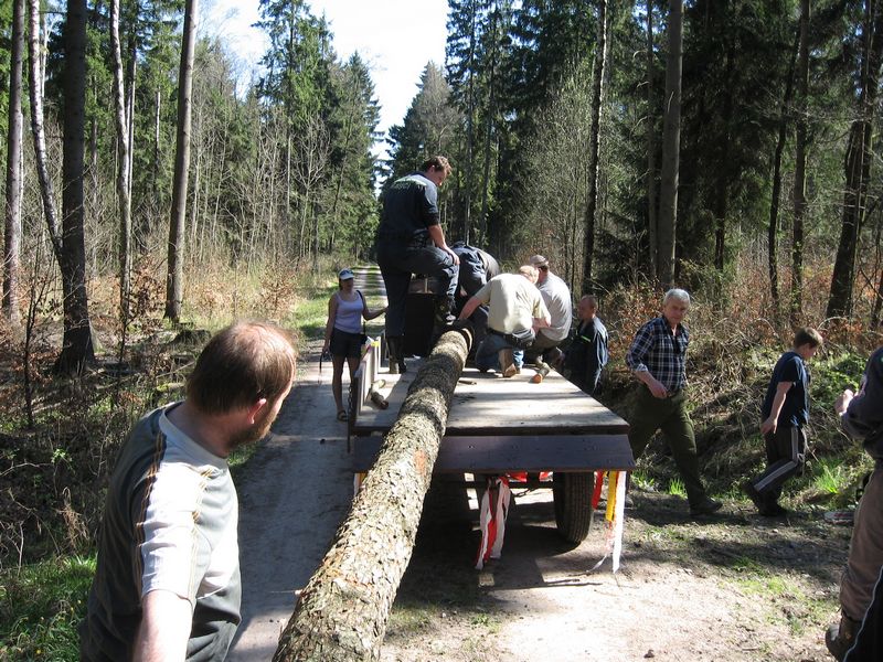 06.jpg